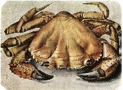Albrecht Durer Lobster 1495 Watercolour and gouache oil